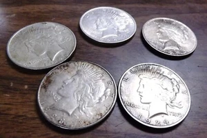 Collection of 5 US Silver Peace Dollars 1922-1924 XF $31.90 each, Free Ship - Picture 1 of 8