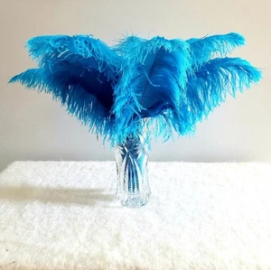 1st Quality XL Individual Ostrich Feathers - Picture 1 of 13