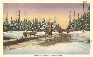 Grüße aus Park Rapids Minnesota Hirsch auf dem Schnee 1940 Postkarte - Bild 1 von 2
