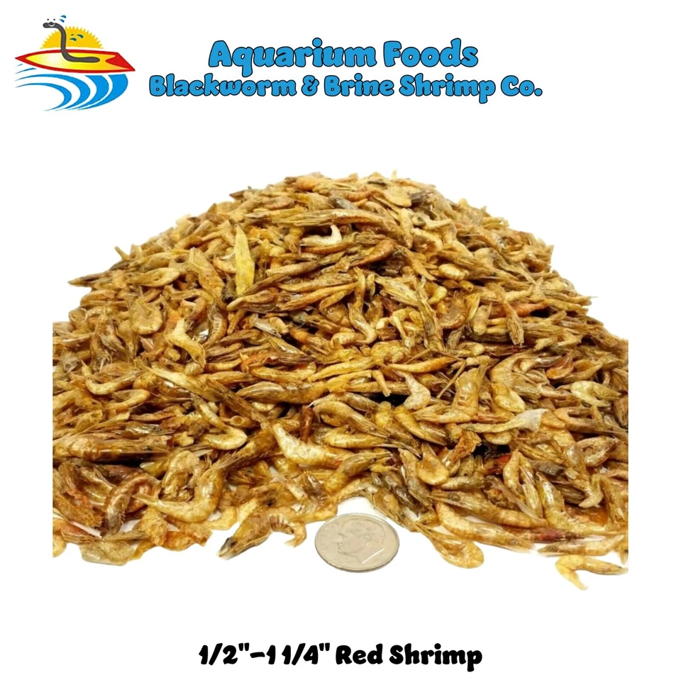 AQUATIC FOODS INC. 1/2"-1&1/4" RED SHRIMP, FREEZE DRIED RIVER SHRIMP BEST AVAILABLE! FREE SHIPPING!