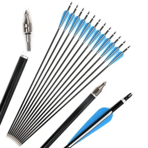 30" ArcheryAuminuml Arrows SP300 4" Vanes Compound Recurve Bow Hunting Target - Picture 1 of 15