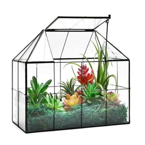 Large Glass Terrarium House Planter – Succulent Plant Terrarium House Shape Gla - Picture 1 of 7