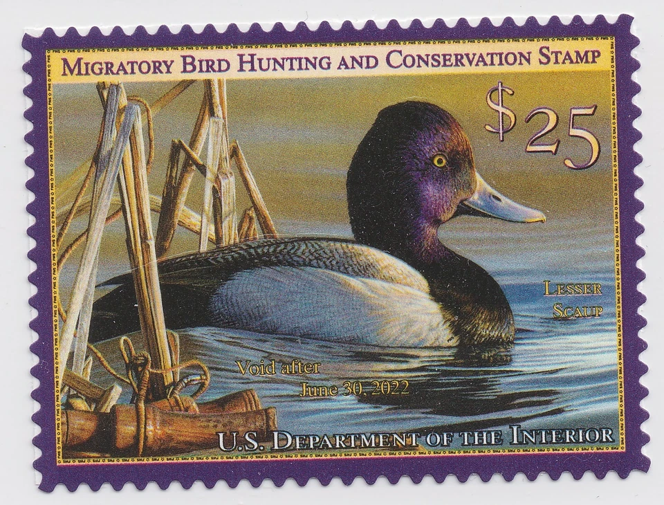 US RW88 Migratory Birds $25 single MNH 2021-2022 - Image 1 of 1