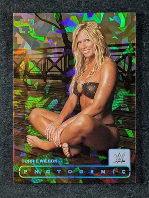 2024 Panini Photogenic WWE TORRIE WILSON 63/75 Diamond Diva #114 - Image 1 of 3