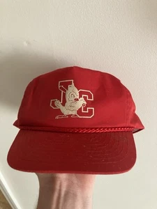 Vintage Johnson City Cardinals SnapBack Hat! Minor League Baseball affiliate Stl - Picture 1 of 1