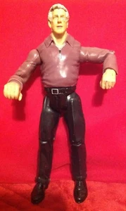 Figura de acción WWE Wrestling Jakks Pacific Titan Tron Live Ric Flair - Imagen 1 de 3