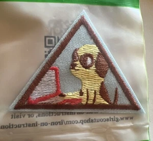 Pfadfinderin Brownie Abzeichen - CyberSecurity Basics 1 Aufbügeln Dreieck Aufnäher - Bild 1 von 3