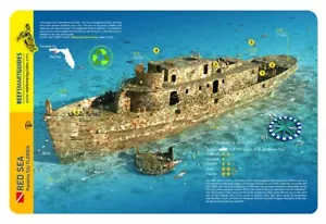 Red Sea Wreck Florida Panhandle Reef Smart Waterproof Dive Card - Picture 1 of 2