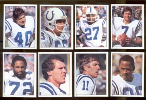 1981 Baltimore Colts Sticker Set BERT JONES GREG LANDRY ROGER CARR CURTIS DICKEY - Picture 1 of 1