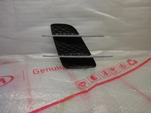 Mercedes-Benz Clase SL 2017-2018 guardabarros izquierdo lado del conductor parrilla OEM A2316901500 - Imagen 1 de 12