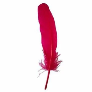 Goose Pointer Feathers 10 grams - Cerise - Bild 1 von 1