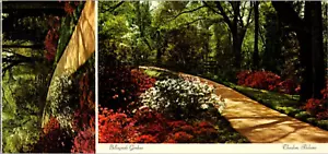 Postkarte: Bellingrath Gardens Theodore, Alabama, schlängelt sich viele Wege hinunter. 8,5X4 - Bild 1 von 2