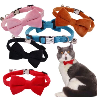 THAIN Personalisiertes Katzenhalsband Samt mit Namen Kätzchenhalsband mit Glocke und Fliege