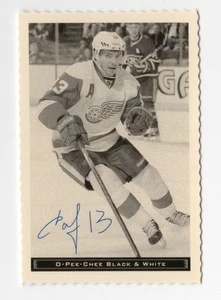 2012-13 O-Pee-Chee Black and White Rare Easter Egg Pavel Datsyuk #29 - Bild 1 von 2