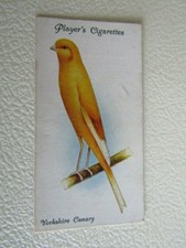 John Player 1933 ~ Aviary and Cage Birds Cicarette Cards Card Variants (e18)