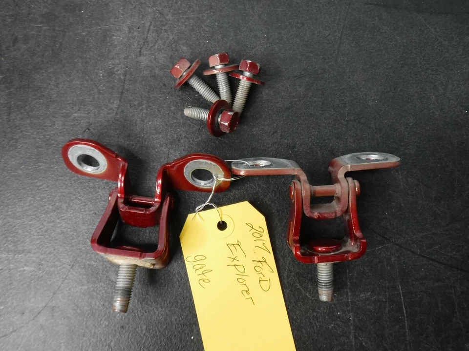 Bisagras para puerta levadiza Ford Explorer/Lincoln MKC CJ5Z7842900A D74 Foto 1 de 1