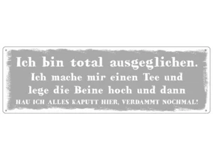 METALLSCHILD Blechschild ICH BIN TOTAL AUSGEGLICHEN Lustig Spruch Geschenk - Bild 1 von 2