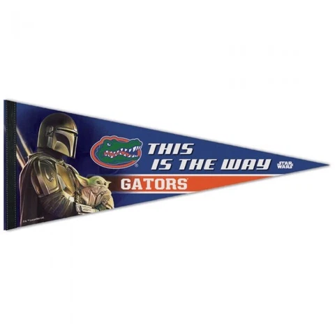 FLORIDA GATORS STAR WARS MANDALORIAN PREMIUM PENNANT 12"X30" BANNER Cover