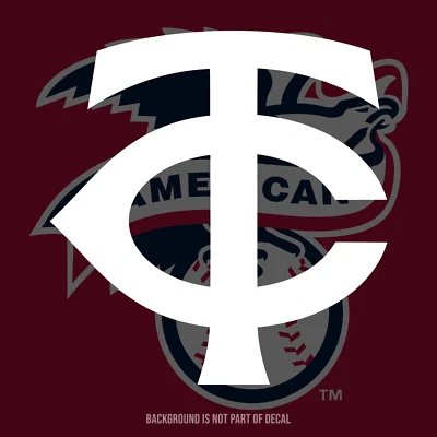 Minnesota Twins Vinyl Decal Sticker - Image 1 of 3