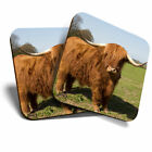 2 x Coasters - Hairy Brown Highland Cow Home Gift #3348