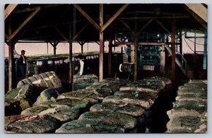 Postal Algodón Compresa Pacas Compactadas c1910 Allied Union Etiqueta Chicago - Imagen 1 de 2