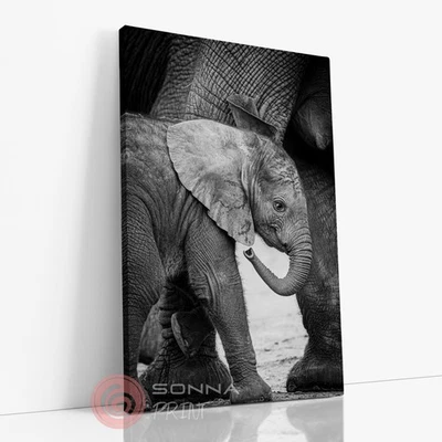 Elephant Portrait Animal Nature Photography Living Room Wall Art Canvas Print - Image 1 of 4