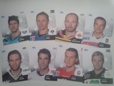 10 EBEL Stickers 2016/17 - wählbar aus ALLEN Eishockey Österreich