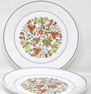 Lot of 2 Corelle Indian Summer 8 ½” Salad Dessert Plates Floral Brown Yellow Ora - Picture 1 of 2