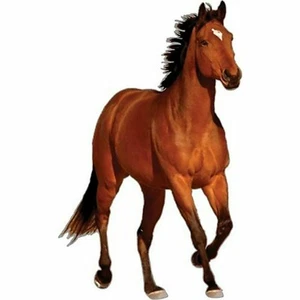 Rivers Edge Magnetic Bay Horse Truck Car Art Non-Adhesive Removable Gift NEW - Picture 1 of 2