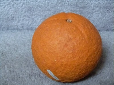 De Colección Italiano REALISTA Pintado Alabastro Mármol Piedra Fruta NARANJA Italia 3" L3 Foto 1 de 4