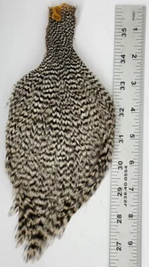 Vintage Fly Tying Wild Rooster Cape Feathers Fly Fishing Black White Pelt READ - Picture 1 of 4