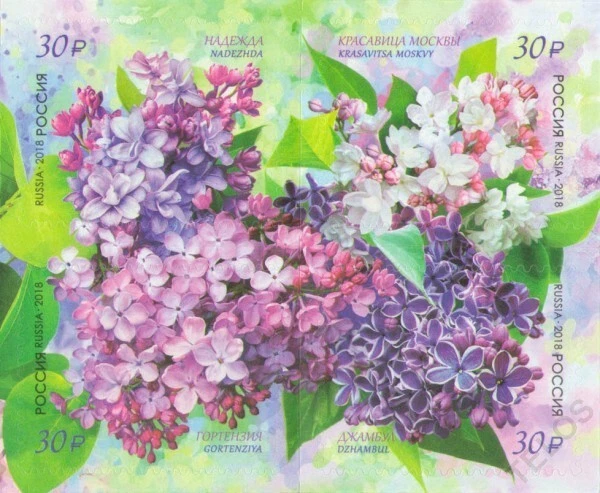 Rusia Flora de Rusia 2018 - Lila MNH Foto 1 de 1