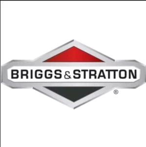 OEM Briggs & Stratton Vorreiniger Filter 805267S - Bild 1 von 2