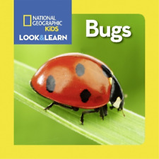 Look and Learn: Bugs (Board Book) Look&Learn