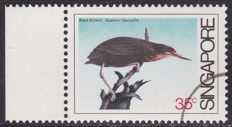 Specimen, Singapore Sc435 Coastal Bird, Black Bittern - Image 1 of 1