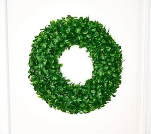Wicker Park 22" Faux Ficus Wreath in Green - Picture 1 of 2