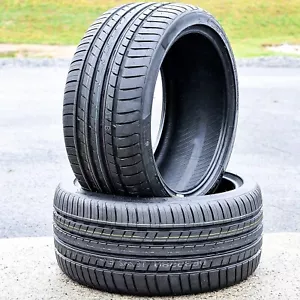 2 Tires 255/30R19 ZR Deestone Expedite RA801E High Performance 91Y XL 2018 - Picture 1 of 12