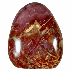 Grandes Colores Ricos Madagascar Madera Petrificada Fósil Pulido Especie Independiente - Imagen 1 de 7