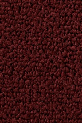 Alfombra automotriz Dorsett 100 % nailon lazo - 40" de ancho - por yarda Foto 1 de 3