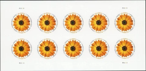 10 USPS 2022 Global Forever Stamps African Daisy - Peel & Stick (1 Sheet of 10) Cover