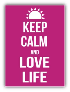 Keep Calm And Love Life Spruch Auto Autoaufkleber Aufkleber - ''GRÖSSEN'' - Bild 1 von 1