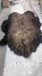 Alfombra de taxidermia bronceada fresca de búfalo/bisonte real escondida nueva - Imagen 1 de 1