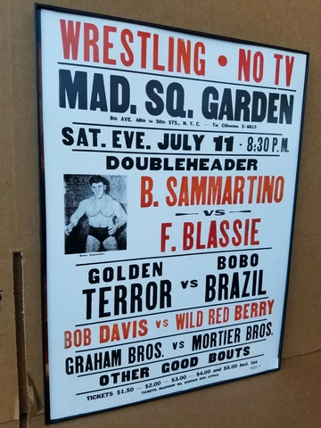 WWF WWWF WWE Madison Square Garden 12x16" Poster Print FRAMED Bruno Sammartino Cover