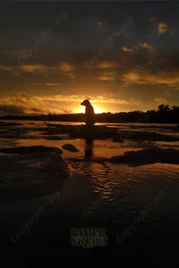 River Dreams Inspirational Poster | Dog-River-Rapids-Sunset | LIMITED & ORIGINAL - Picture 1 of 2