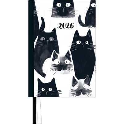 DUMONT Cats - Kalender 2026