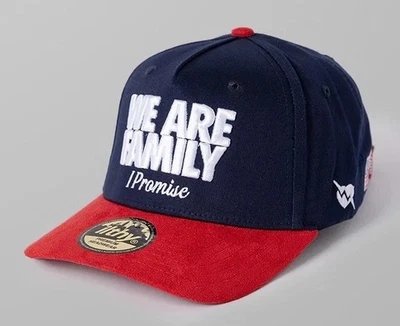 ILTHY x LeBron James Family Foundation WE ARE FAMILY Edición Limitada Gorra Sombrero NUEVO Foto 1 de 4