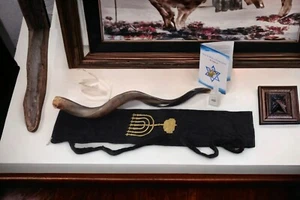 SHOFAR Full Polished Kosher Kudu Horn 36''-40" + Bag + Spray + Guide by Yaliland - Picture 1 of 21