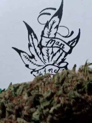 GREENHORN AMENDMENTS Mankinds all organic cannasoil amendment bags 1lb mix