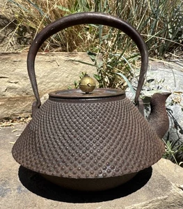 Japanese Cast Iron Tetsubin Kettle Teapot Vtg Tea Ceremony Nanbu Tekki T120 - Picture 1 of 24
