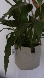 Pflanzentasche Blumenampel Hängekorb Textil - 3 Grössen zur Wahl - Bild 1 von 5